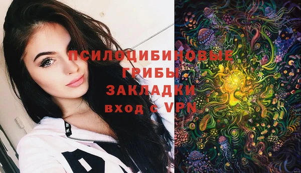 гашик Алзамай